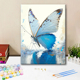 花色斑斓蝴蝶diy数字油画手绘填充手工涂色丙烯卡通静物装 饰挂画