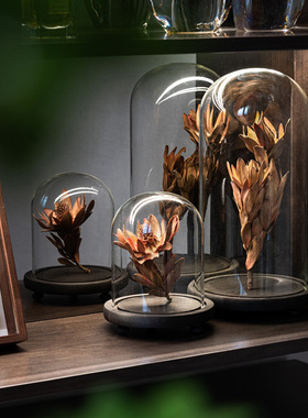 装饰摆件玻璃罩植物标本果实树叶昆虫蝴蝶干花设计师样板间装饰品