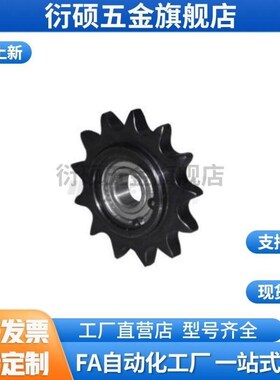 VLB01-15-11/12/13/14/15/16/17/18/20/24-D5/D6/D8/D10链轮/链条