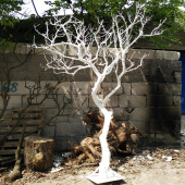 装 饰造型树实木去皮原色枯树干枝树干创意橱窗饰品落地摆件干树枝