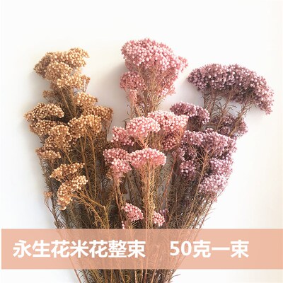 永生花米花整束50克 diy材料配材花束整束插花装饰 花盒手工材料