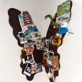 蝴蝶毛毡板图钉毛毡照片墙贴墙面软木板展示墙文化墙电表箱装 饰