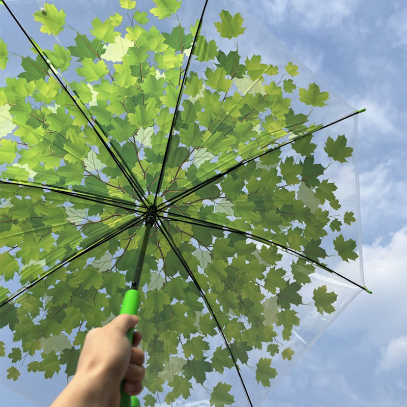 韩国创意加厚透明伞折叠女雨伞文艺小清新长柄学生晴雨两用伞
