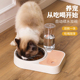猫碗狗盆狗碗双碗自动饮水食盆狗狗宠物用品碗猫咪水碗防打翻饭盆