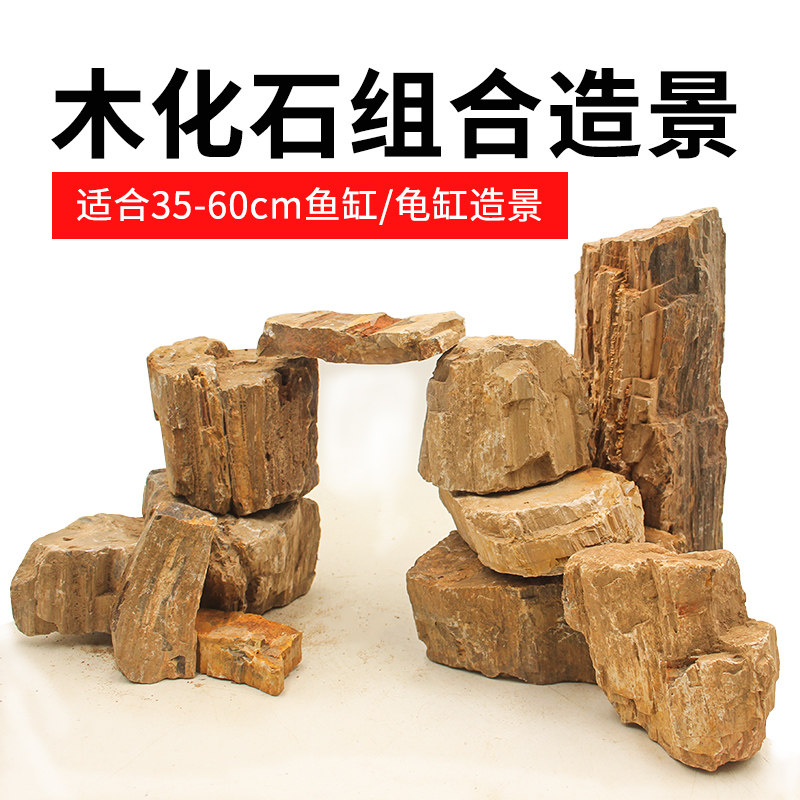 木化石原石鱼缸天然假山盆景装饰品大块龟缸躲避造景石头组合摆件