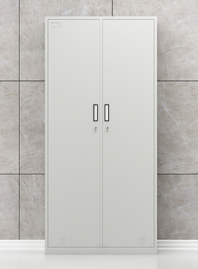臻远 2门更衣柜 ZY-KLP-G075 H1800*W850*D420 (灰白色)