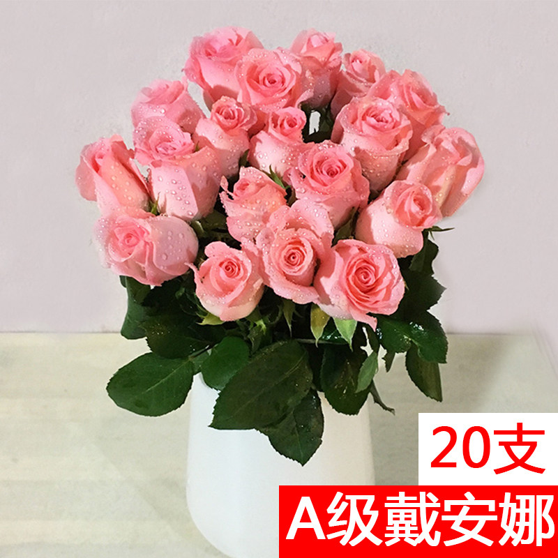 A级粉玫瑰戴安娜鲜花直批新鲜花束插花水养斗南直发云南昆明市场