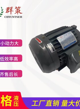台湾SY群策油泵电机0.75/1.5/2.25/3.75/5.6 C01-43BO 1HP 2/3/5