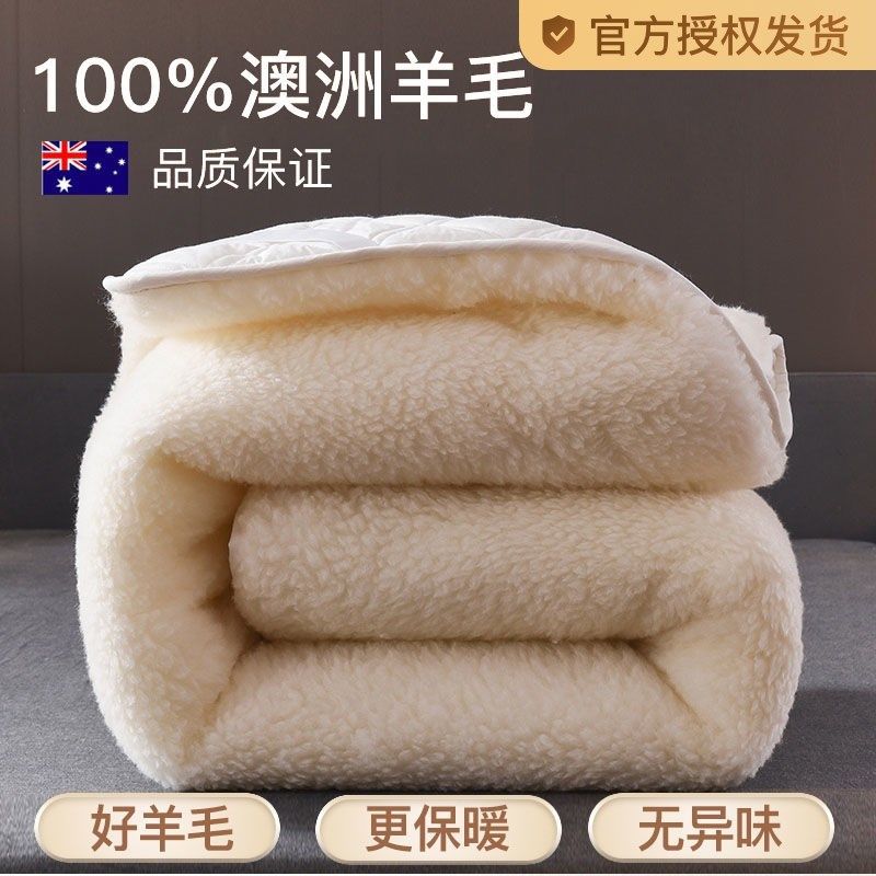 澳洲纯羊毛床垫软垫褥子家用羊羔绒毛毯冬天保暖垫被冬季加厚双人