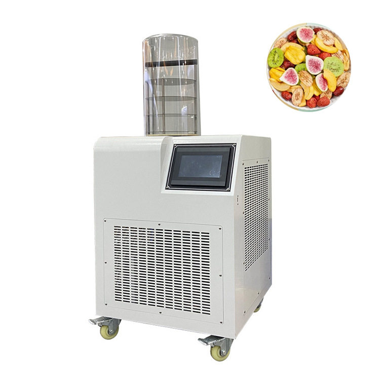 真空冷冻干燥机果蔬肉类海鲜食品速冻冻干机实验室家用小型冻干机