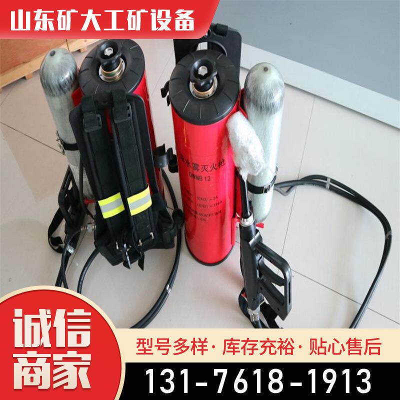 背负式脉冲气压喷雾水枪 高压脉冲灭火装置 气动灭火喷射器