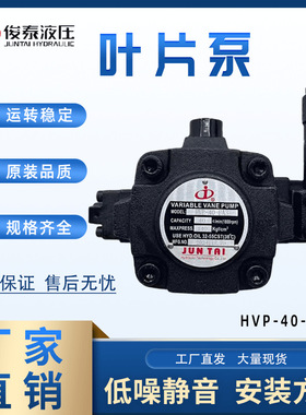 JUNTAI俊泰液压油泵 叶片泵 HVP-30-FA3 HVP-40-FA3中高压叶片泵