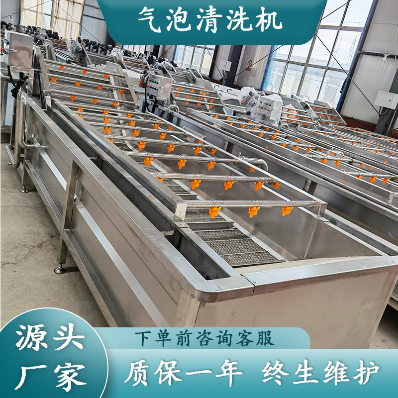 气泡清洗机全自动白菜加工清洗设备鼓泡喷淋式韭菜苔气泡清洗机