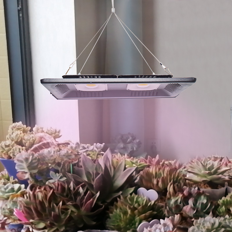 月季草莓花卉补光灯LED仿太阳大棚蔬菜水草多肉全光谱植物生长灯