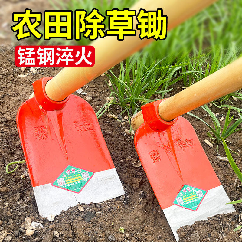 热销锄头家用除草种菜两用农具锰钢锻打锄锤开荒松土翻地挖笋农用,鲜花速递/花卉仿真/绿植园艺,铲子,淘宝优惠券,粉丝福利购,淘宝优惠卷