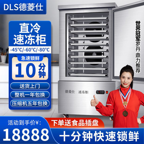 定制德菱仕直冷低温速冻柜商用包子饺子厨房商用急冻柜冷冻柜