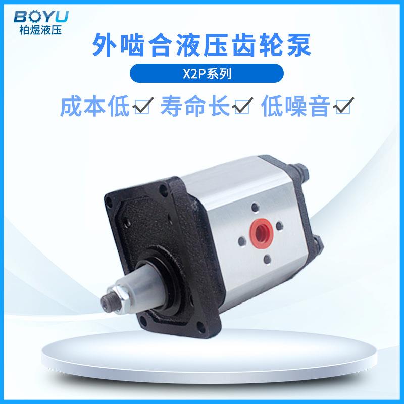 国产替代液压齿轮泵X2P5132CSRA 德国标准液体增压齿轮泵厂家直销