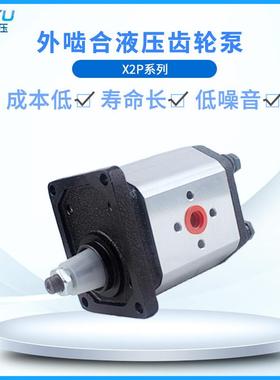 国产替代液压齿轮泵X2P5132CSRA 德国标准液体增压齿轮泵厂家直销