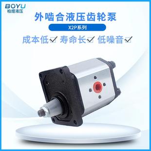 国产替代液压齿轮泵X2P5132CSRA 德国标准液体增压齿轮泵厂家直销