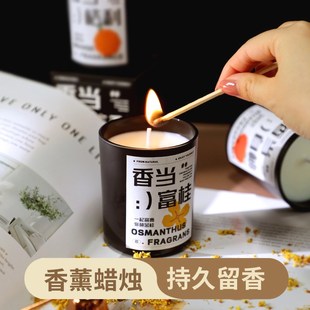 JOJOS L. PD.杂货先生.文创香薰蜡烛高级感创意罐装香氛 紫陆