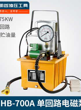 HHB-700A超高压电动泵浦电动油压泵柱塞泵(脚踏式-带电磁阀) 包邮