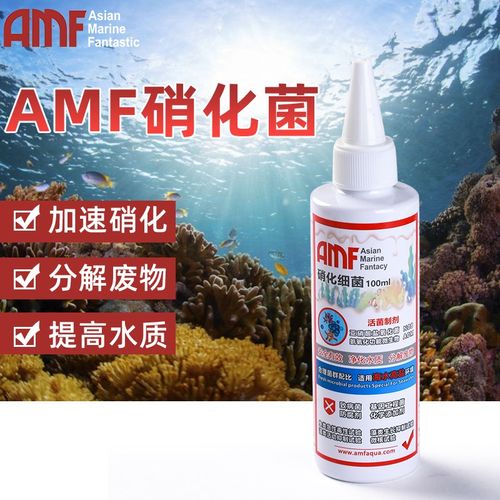 AMF硝化细菌鱼缸用净水剂水质稳定净化水族鱼药活菌养鱼用品液体
