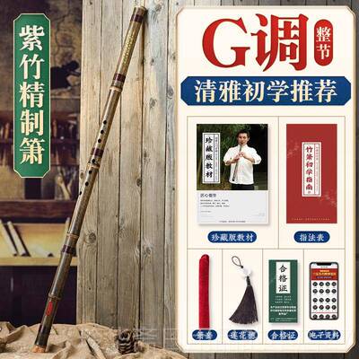 高档湛文兵8八孔F 竹器初学洞箫紫竹精制一节箫G调短乐箫专业短演