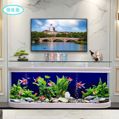 欧式鱼缸水族箱电视柜生态免换水落地式玻璃吧台家用客厅茶几靠墙