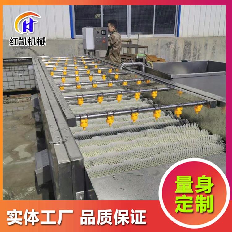 广东生蚝清洗机 海蛎子高压喷淋清洗机 牡蛎毛刷去泥沙清洗机