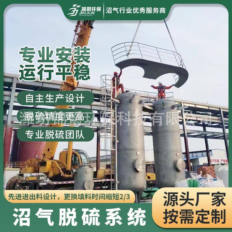 沼气脱硫净化器 脱硫罐脱硫塔设备增压泵过滤器养殖场沼气脱硫