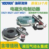 DSZ1 200 150 LDZ1失电MSZ1制动05器BSZ1 300 450
