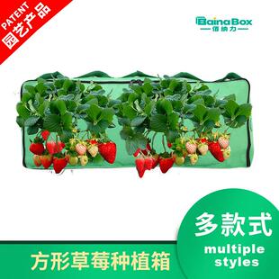 厂家定 制无纺布长方形多口草莓种植箱家庭阳台蔬果植物栽培花盆