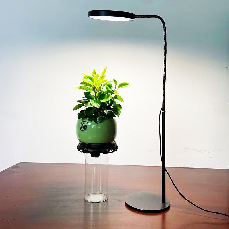 落地款全光谱植物生长灯定时功能桌面植物多肉防徒上色盆栽补光灯