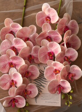 仿真花艺摆件手感PU蝴蝶兰套装假花装饰花束干花客厅室内绢花摆设