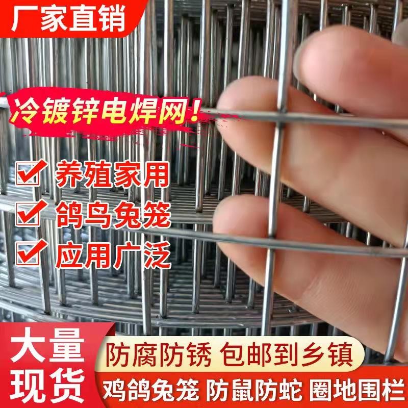 铁丝网围栏镀锌电焊网养殖网防鼠网钢丝隔离网片防护网整卷玉米网