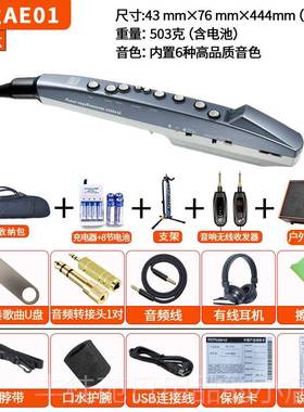 正品d日本品电牌Rolan罗兰E-01电吹管老人电萨克斯子乐器二胡AEA0