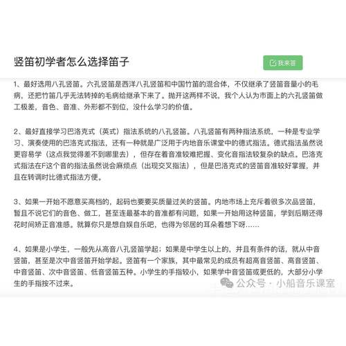 正品A nndes 八孔英式高音刻竖笛209 小学音乐课课堂乐器包邮包字