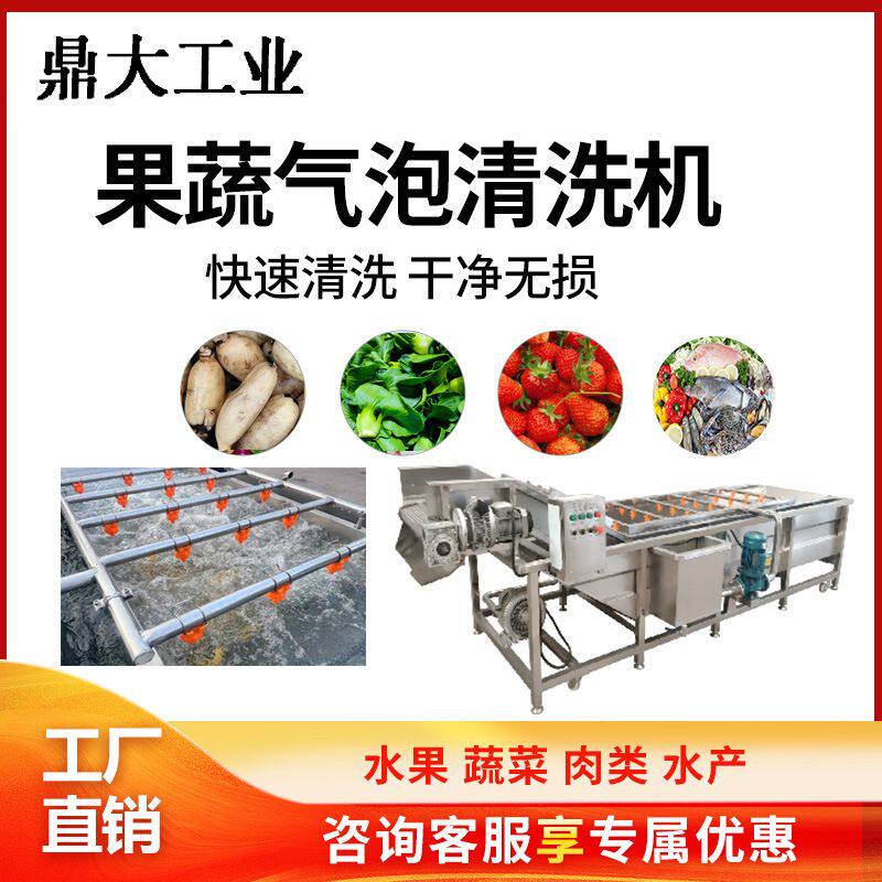 定制果蔬气泡清洗机蒸汽去皮机蔬菜药材水果类清洗去皮机鼎大工业