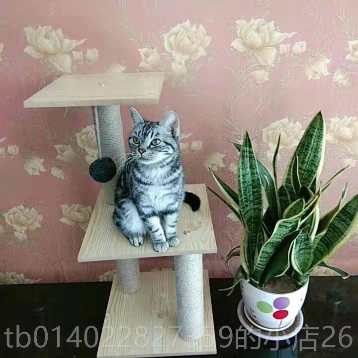 正品猫体架猫爬架小型咪猫咪猫窝树一通天柱不占地猫抓板猫猫用品,宠物/宠物食品及用品,猫爬架,淘宝优惠券,粉丝福利购,淘宝优惠卷