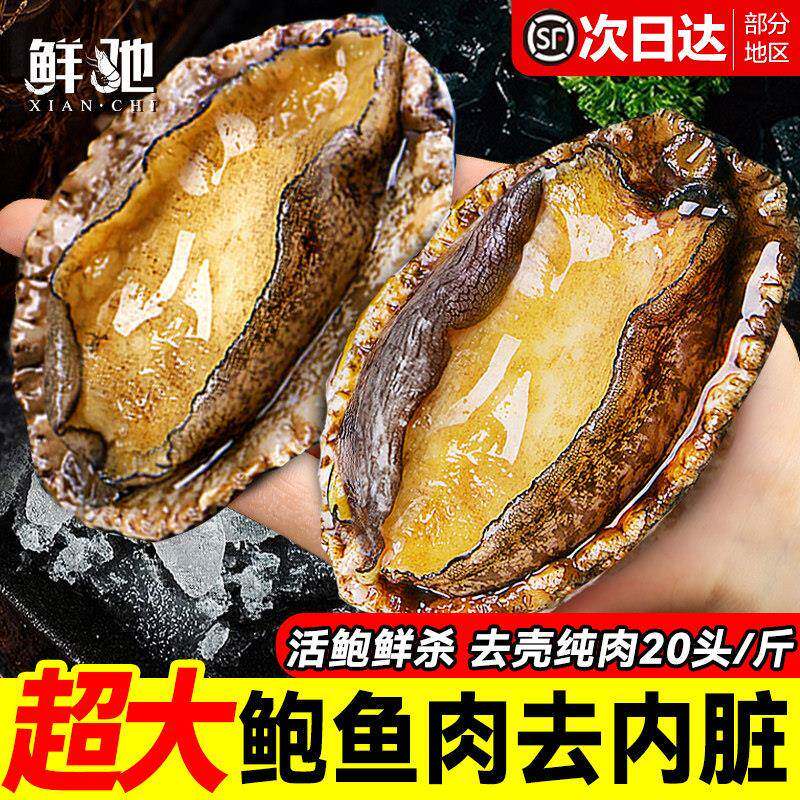 鲍鱼肉鲜活冷冻去牙去壳新鲜活鲍现剥去内脏火锅食材500g海鲜水产