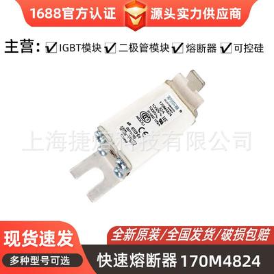 低压快速熔断器170M4824 170M4956 170M5013 型号齐全 标准封装