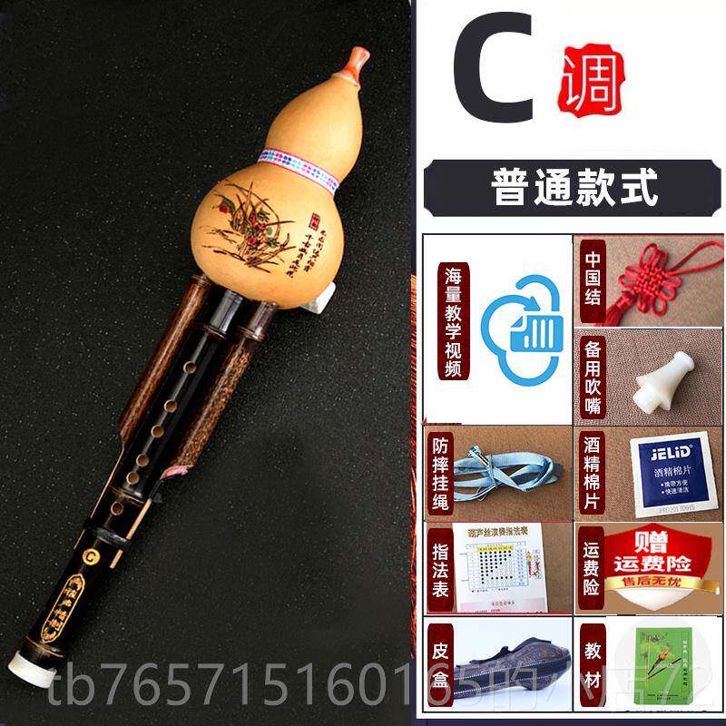 高档天然竹初葫芦丝成人学者紫降b调小学生c调零基础中入门考级入