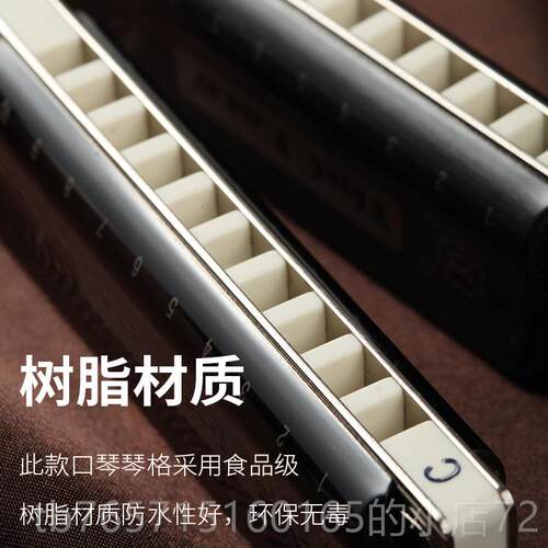 高档孔声调十孔口琴布演鲁斯蓝乐器学生儿童成人初学专者业奏10孔