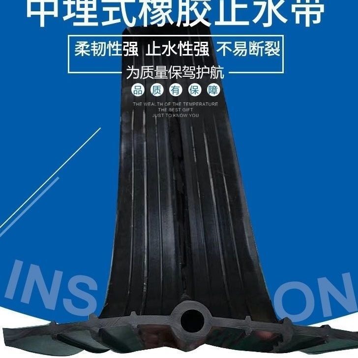 橡胶止水带51型中埋式背贴式300/3/0宽可卸钢边外贴式止水带