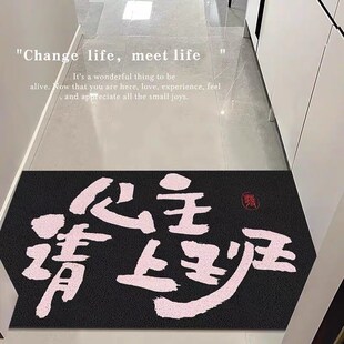公主上班入户丝圈垫进门玄关除尘地垫家用蹭土垫子耐磨家用可裁剪