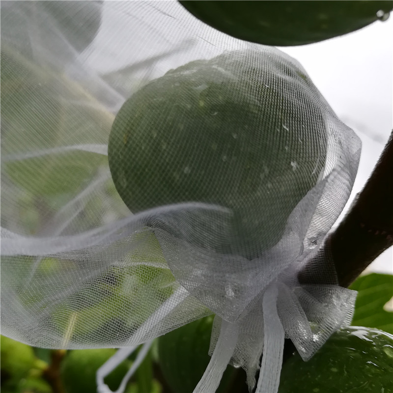 网袋大号袋浸种袋纱网袋袋子防虫袋火袋育种防鸟袋