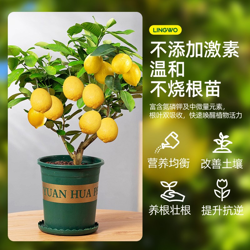 免稀释柠檬树专用营养液家用盆栽喜酸性绿植物花卉生根通用型肥料