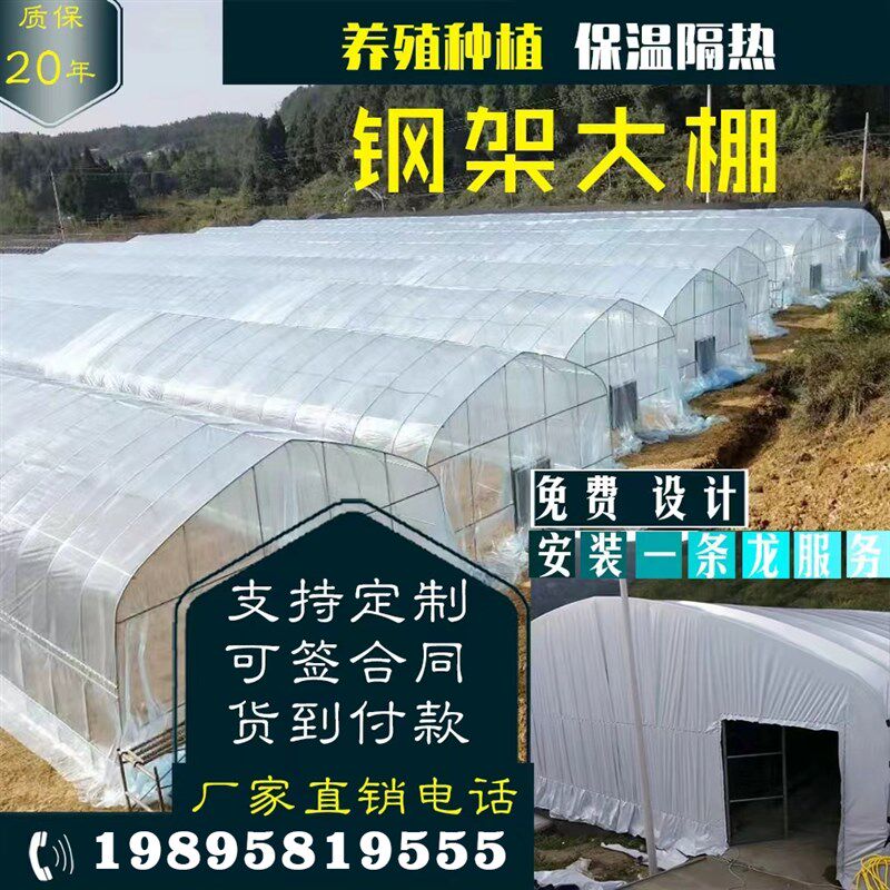 椭圆管骨架镀锌钢管温室连体拱形大棚蔬菜养殖花卉种植保温棚定制