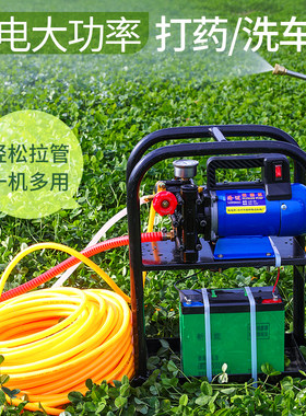 电动喷雾器农用高压新式柱塞泵打药泵自吸泵双缸药泵果园打药机