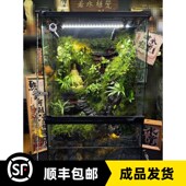 古殿佛说成品雨林缸热带植物全自动苔藓微景观若水植觉景观苔藓微